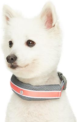 Show full view: Dogs & Cats & Co. Daily Essential with Add-on Accessory Polyester Dog Collar, Grey/Coral, Medium: 20-in neck, 3/4-in wide slide 2 of 9