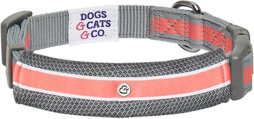 Show full view: Dogs & Cats & Co. Daily Essential with Add-on Accessory Polyester Dog Collar, Grey/Coral, Medium: 20-in neck, 3/4-in wide slide 4 of 9
