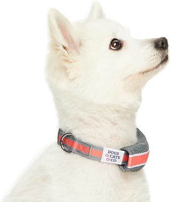 Show full view: Dogs & Cats & Co. Daily Essential with Add-on Accessory Polyester Dog Collar, Grey/Coral, Medium: 20-in neck, 3/4-in wide slide 3 of 9