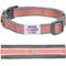 Show in main carousel: Dogs & Cats & Co. Daily Essential with Add-on Accessory Polyester Dog Collar, Grey/Coral, Small: 16-in neck, 5/8-in wide slide 1 of 10