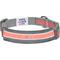 Show in main carousel: Dogs & Cats & Co. Daily Essential with Add-on Accessory Polyester Dog Collar, Grey/Coral, Small: 16-in neck, 5/8-in wide slide 5 of 10