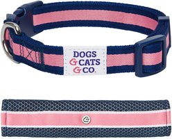 Dogs & Cats & Co. Daily Essential with Add-on Accessory Polyester Dog Collar, Navy/Pink, Small: 16-in neck, 5/8-in wide