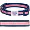 Show in main carousel: Dogs & Cats & Co. Daily Essential with Add-on Accessory Polyester Dog Collar, Navy/Pink, Small: 16-in neck, 5/8-in wide slide 1 of 10