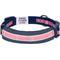 Show in main carousel: Dogs & Cats & Co. Daily Essential with Add-on Accessory Polyester Dog Collar, Navy/Pink, Small: 16-in neck, 5/8-in wide slide 5 of 10