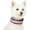 Show in main carousel: Dogs & Cats & Co. Daily Essential with Add-on Accessory Polyester Dog Collar, Navy/Pink, Small: 16-in neck, 5/8-in wide slide 3 of 10
