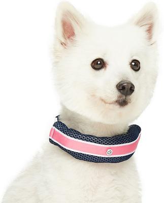 Show full view: Dogs & Cats & Co. Daily Essential with Add-on Accessory Polyester Dog Collar, Navy/Pink, Small: 16-in neck, 5/8-in wide slide 3 of 10
