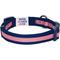 Show in main carousel: Dogs & Cats & Co. Daily Essential with Add-on Accessory Polyester Dog Collar, Navy/Pink, Small: 16-in neck, 5/8-in wide slide 6 of 10