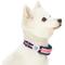 Show in main carousel: Dogs & Cats & Co. Daily Essential with Add-on Accessory Polyester Dog Collar, Navy/Pink, Small: 16-in neck, 5/8-in wide slide 4 of 10