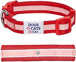 Dogs & Cats & Co. Daily Essential with Add-on Accessory Polyester Dog Collar, Red/Pink, Medium: 20-in neck, 3/4-in wide slide 1 of 8