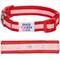 Show in main carousel: Dogs & Cats & Co. Daily Essential with Add-on Accessory Polyester Dog Collar, Red/Pink, Medium: 20-in neck, 3/4-in wide slide 1 of 10