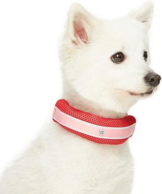 Show full view: Dogs & Cats & Co. Daily Essential with Add-on Accessory Polyester Dog Collar, Red/Pink, Medium: 20-in neck, 3/4-in wide slide 3 of 10