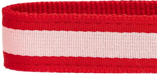 Show full view: Dogs & Cats & Co. Daily Essential with Add-on Accessory Polyester Dog Collar, Red/Pink, Medium: 20-in neck, 3/4-in wide slide 7 of 10