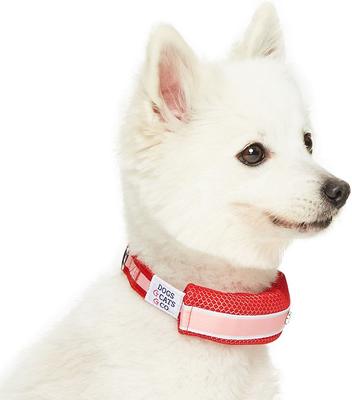 Show full view: Dogs & Cats & Co. Daily Essential with Add-on Accessory Polyester Dog Collar, Red/Pink, Medium: 20-in neck, 3/4-in wide slide 4 of 10