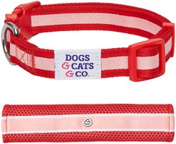 Dogs & Cats & Co. Daily Essential with Add-on Accessory Polyester Dog Collar, Red/Pink, Small: 16-in neck, 5/8-in wide
