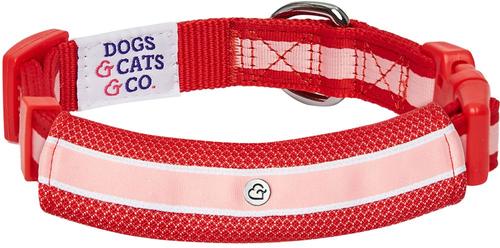 Show full view: Dogs & Cats & Co. Daily Essential with Add-on Accessory Polyester Dog Collar, Red/Pink, Small: 16-in neck, 5/8-in wide slide 4 of 9