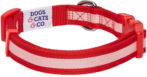 Show full view: Dogs & Cats & Co. Daily Essential with Add-on Accessory Polyester Dog Collar, Red/Pink, Small: 16-in neck, 5/8-in wide slide 5 of 9