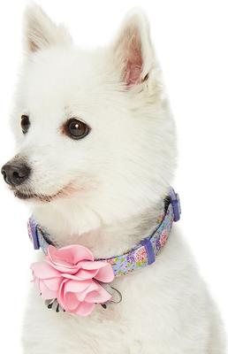 Show full view: Dogs & Cats & Co. Floral with Pink Flower Accessory Polyester Dog Collar, Lavender, Large: 26-in neck, 1-in wide slide 3 of 7