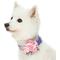 Show in main carousel: Dogs & Cats & Co. Floral with Pink Flower Accessory Polyester Dog Collar, Lavender, Large: 26-in neck, 1-in wide slide 2 of 7