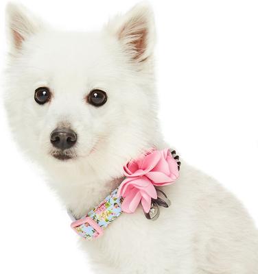 Show full view: Dogs & Cats & Co. Floral with Pink Flower Accessory Polyester Dog Collar, Turquoise, Large: 26-in neck, 1-in wide slide 2 of 7