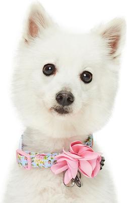 Show full view: Dogs & Cats & Co. Floral with Pink Flower Accessory Polyester Dog Collar, Turquoise, Small: 16-in neck, 5/8-in wide slide 3 of 7