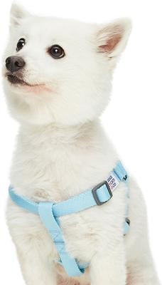 Show full view: Dogs & Cats & Co. Heavy Duty Classic Solid Color Step-In Dog Harness, Aquamarine, Small: 16.5 to 21.5-in chest slide 3 of 8