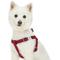 Show in main carousel: Dogs & Cats & Co. Heavy Duty Classic Solid Color Step-In Dog Harness, Burgundy, Medium: 20 to 26-in chest slide 1 of 7