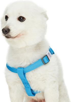 Show full view: Dogs & Cats & Co. Heavy Duty Classic Solid Color Step-In Dog Harness, Cyan Blue, Medium: 20 to 26-in chest slide 2 of 7
