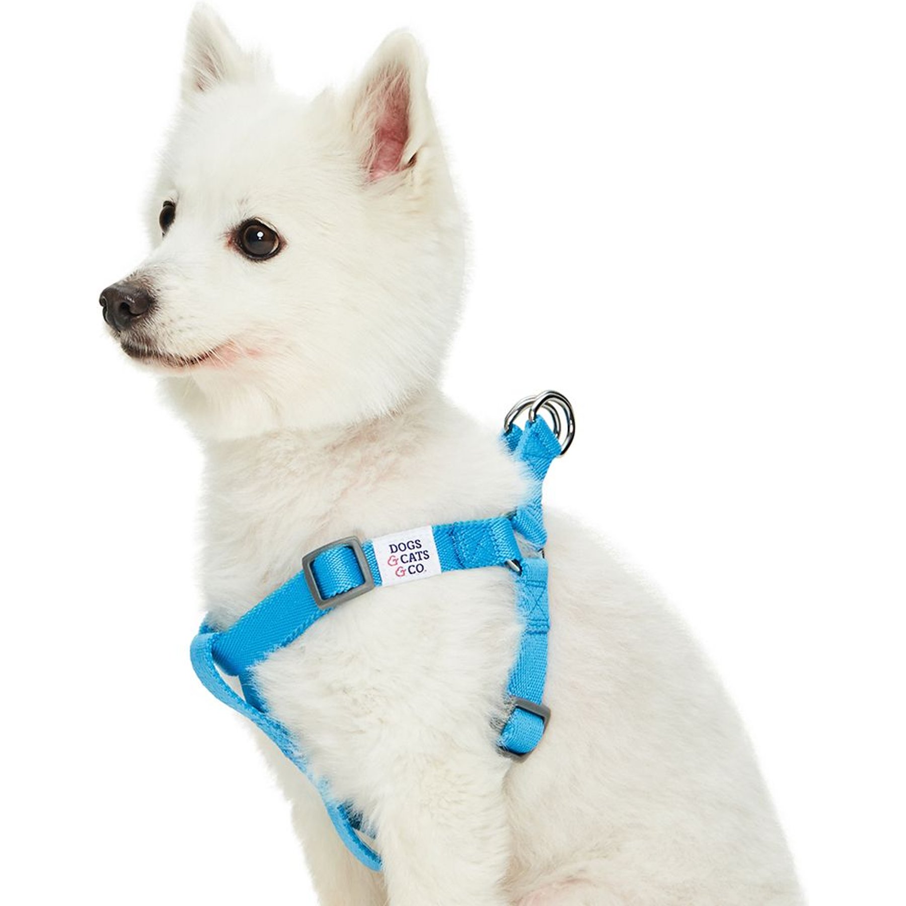 Dogs & Cats & Co. Heavy Duty Classic Solid Color Step-In Dog Harness, Cyan Blue, Small: 16.5 to 21.5-in chest