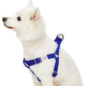 Dogs & Cats & Co. Heavy Duty Classic Solid Color Step-In Dog Harness, Electric Blue, Medium: 20 to 26-in chest