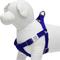 Show in main carousel: Dogs & Cats & Co. Heavy Duty Classic Solid Color Step-In Dog Harness, Electric Blue, Medium: 20 to 26-in chest slide 3 of 7