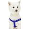 Show in main carousel: Dogs & Cats & Co. Heavy Duty Classic Solid Color Step-In Dog Harness, Electric Blue, Medium: 20 to 26-in chest slide 2 of 7