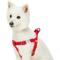 Show in main carousel: Dogs & Cats & Co. Heavy Duty Classic Solid Color Step-In Dog Harness, Fiery Red, Small: 16.5 to 21.5-in chest slide 1 of 7