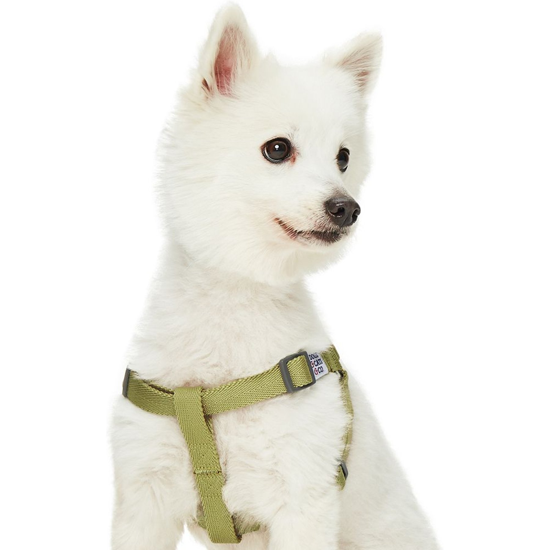 Dogs & Cats & Co. Heavy Duty Classic Solid Color Step-In Dog Harness, Golden Green, Small: 16.5 to 21.5-in chest