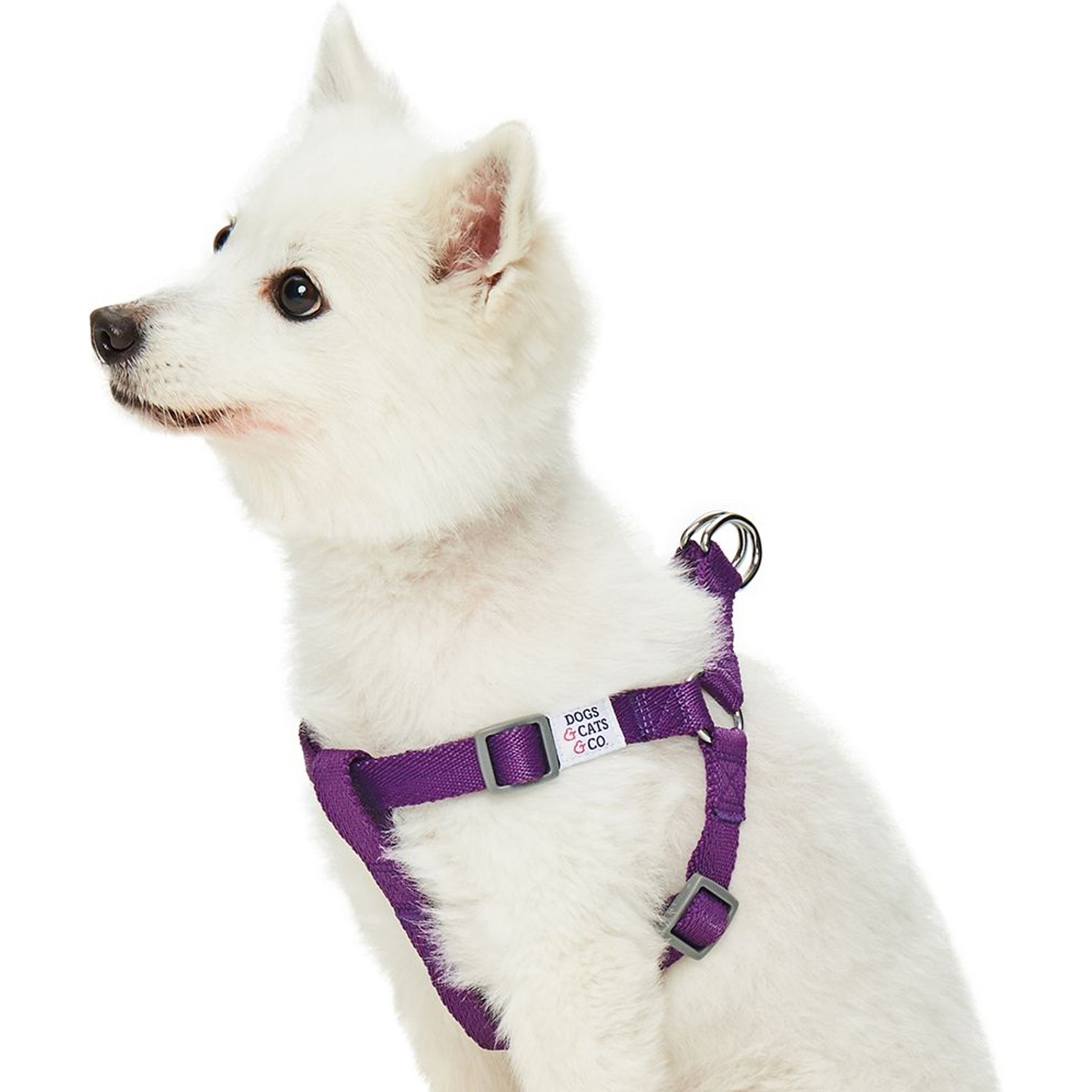 Dogs & Cats & Co. Heavy Duty Classic Solid Color Step-In Dog Harness, Grape Purple, Small: 16.5 to 21.5-in chest