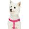Show in main carousel: Dogs & Cats & Co. Heavy Duty Classic Solid Color Step-In Dog Harness, Hot Pink, Small: 16.5 to 21.5-in chest slide 2 of 7