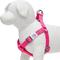 Show in main carousel: Dogs & Cats & Co. Heavy Duty Classic Solid Color Step-In Dog Harness, Hot Pink, Small: 16.5 to 21.5-in chest slide 3 of 7