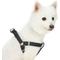 Show in main carousel: Dogs & Cats & Co. Heavy Duty Classic Solid Color Step-In Dog Harness, Jet Black, Large: 26 to 39-in chest slide 1 of 7