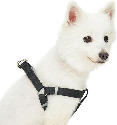 Show full view: Dogs & Cats & Co. Heavy Duty Classic Solid Color Step-In Dog Harness, Jet Black, Large: 26 to 39-in chest slide 1 of 7