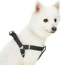 Dogs & Cats & Co. Heavy Duty Classic Solid Color Step-In Dog Harness, Jet Black, Medium: 20 to 26-in chest
