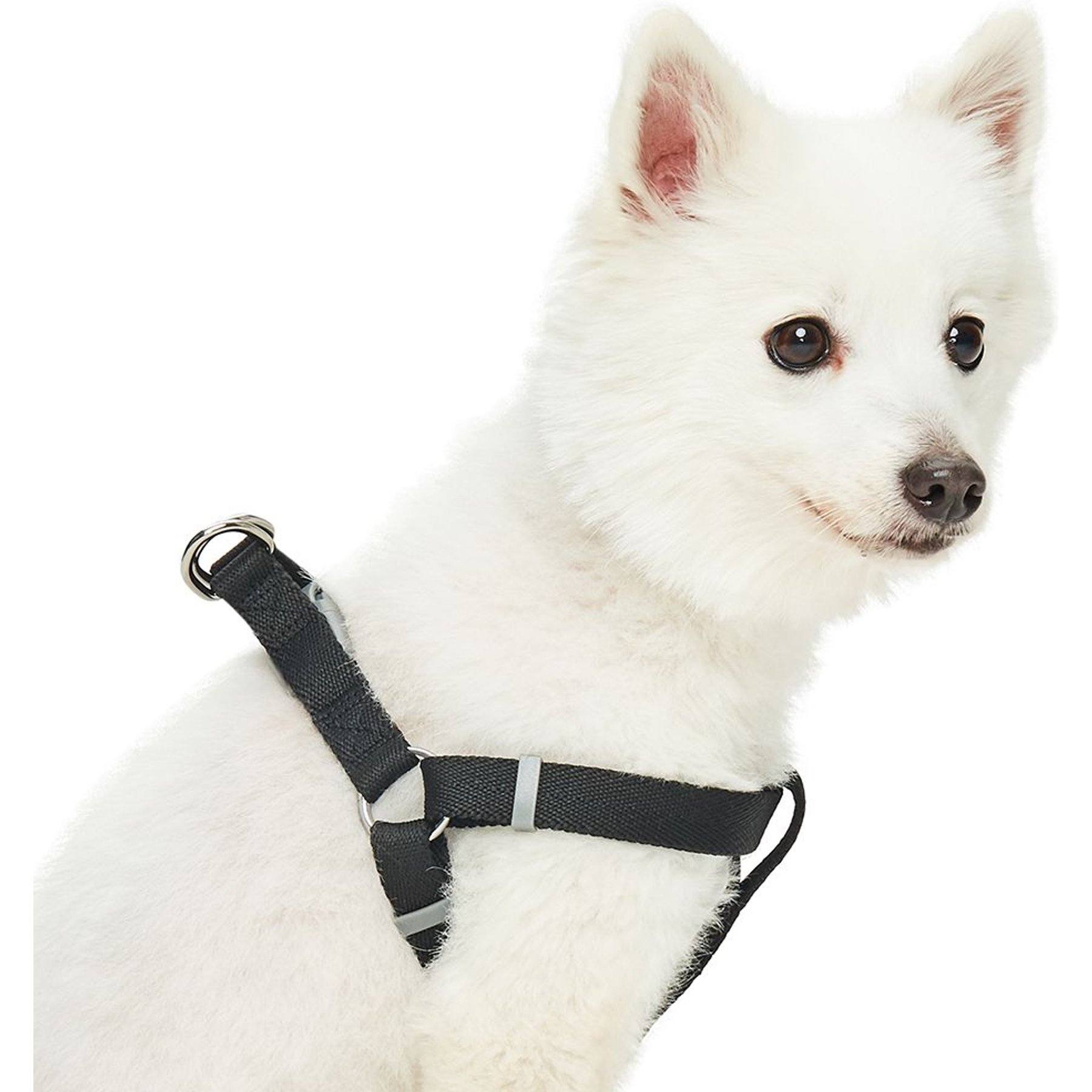 Dogs & Cats & Co. Heavy Duty Classic Solid Color Step-In Dog Harness, Jet Black, Small: 16.5 to 21.5-in chest