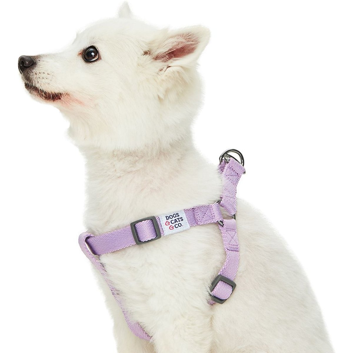 Dogs & Cats & Co. Heavy Duty Classic Solid Color Step-In Dog Harness, Lavender, Small: 16.5 to 21.5-in chest