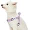 Show in main carousel: Dogs & Cats & Co. Heavy Duty Classic Solid Color Step-In Dog Harness, Lavender, Small: 16.5 to 21.5-in chest slide 1 of 7