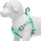 Show in main carousel: Dogs & Cats & Co. Heavy Duty Classic Solid Color Step-In Dog Harness, Mint Green, Medium: 20 to 26-in chest slide 3 of 7