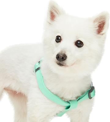 Show full view: Dogs & Cats & Co. Heavy Duty Classic Solid Color Step-In Dog Harness, Mint Green, Medium: 20 to 26-in chest slide 2 of 7