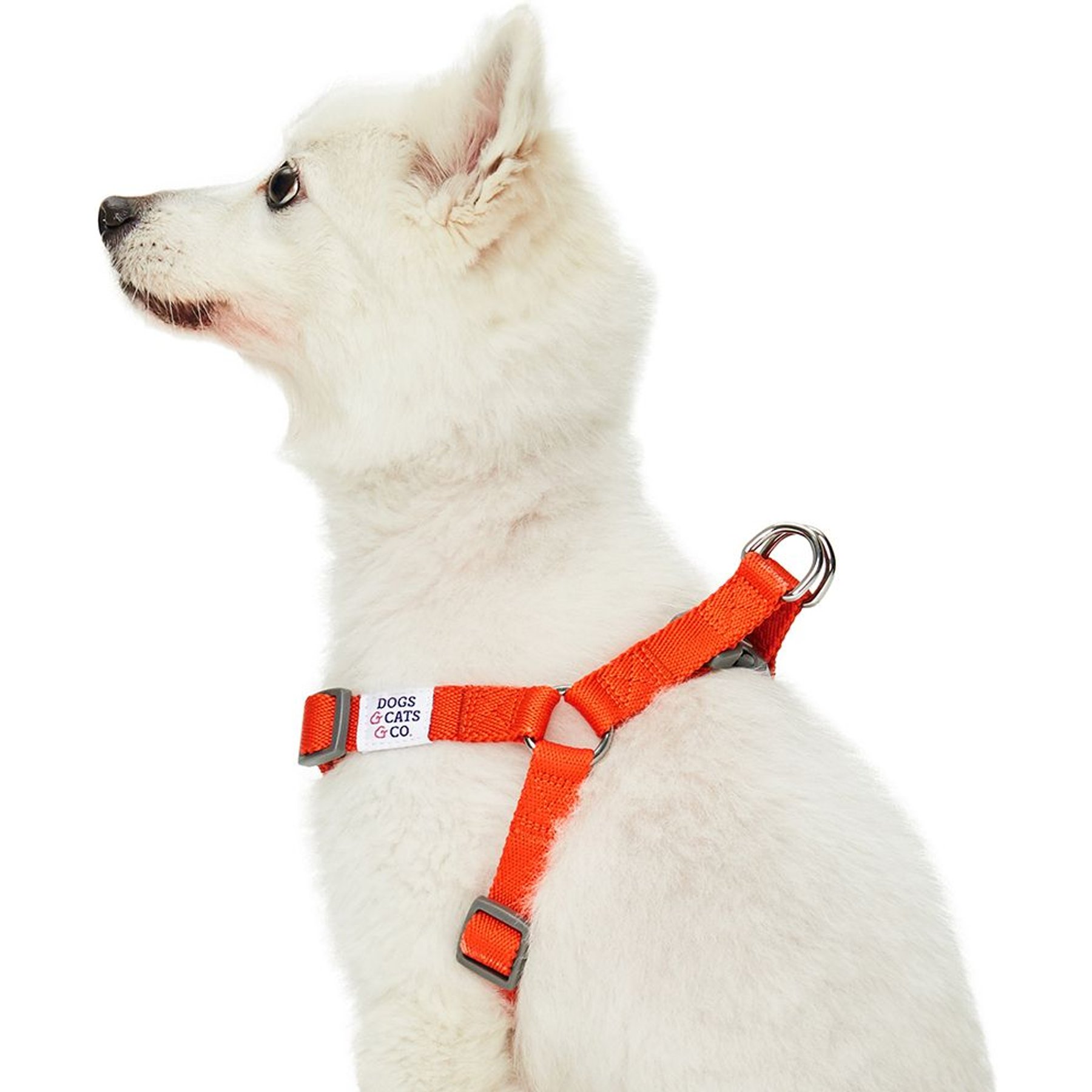 Dogs & Cats & Co. Heavy Duty Classic Solid Color Step-In Dog Harness, Papaya, Large: 26 to 39-in chest