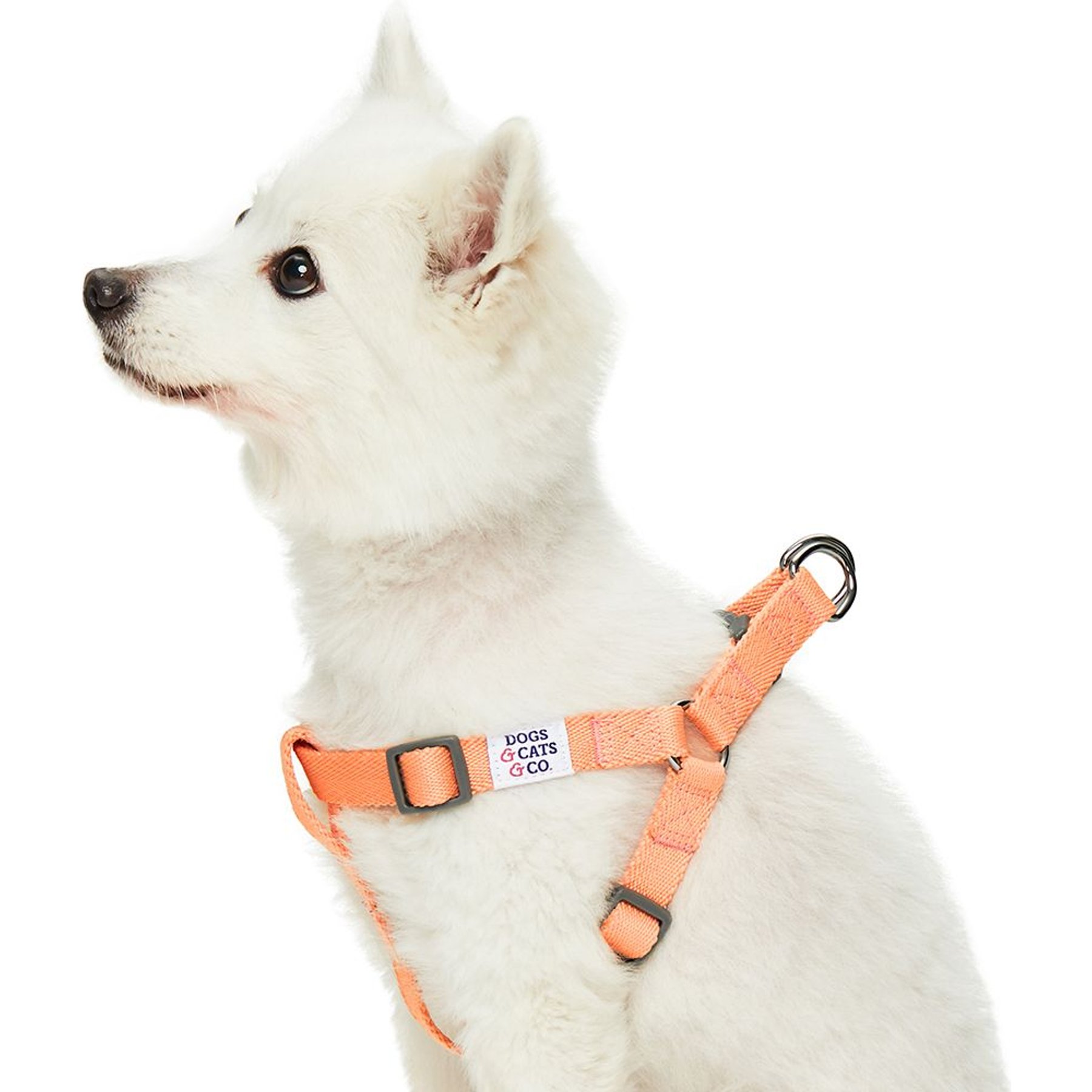 Dogs & Cats & Co. Heavy Duty Classic Solid Color Step-In Dog Harness, Peach, Medium: 20 to 26-in chest