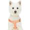 Show in main carousel: Dogs & Cats & Co. Heavy Duty Classic Solid Color Step-In Dog Harness, Peach, Small: 16.5 to 21.5-in chest slide 2 of 7