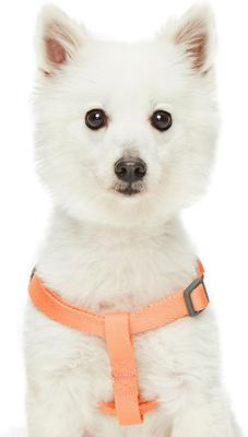 Show full view: Dogs & Cats & Co. Heavy Duty Classic Solid Color Step-In Dog Harness, Peach, Small: 16.5 to 21.5-in chest slide 2 of 7