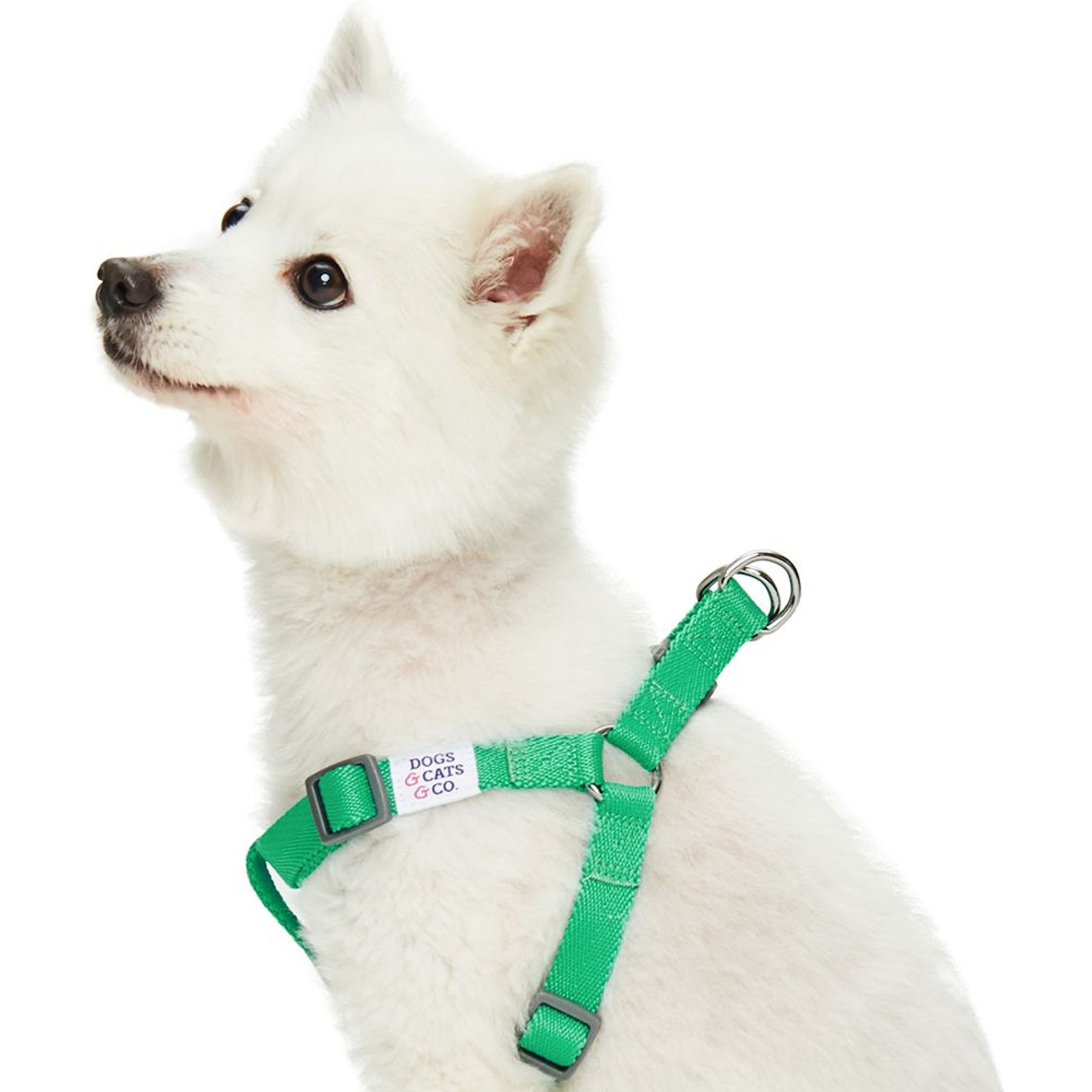 Dogs & Cats & Co. Heavy Duty Classic Solid Color Step-In Dog Harness, Peacock Green, Large: 26 to 39-in chest