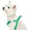 Show in main carousel: Dogs & Cats & Co. Heavy Duty Classic Solid Color Step-In Dog Harness, Peacock Green, Medium: 20 to 26-in chest slide 1 of 8